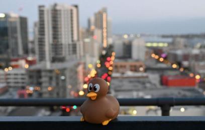 ajp linkedin web image 408x260 titlehere 13 v2