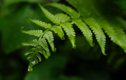 ajp linkedin web image 408x260 titlehere 20