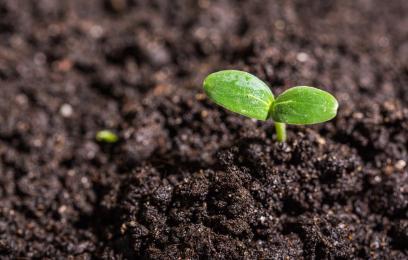 ajp linkedin web image 408x260 titlehere 25 v4