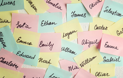 ajp web tile whatsinaname 408x260px sep2023