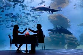 Aquarium