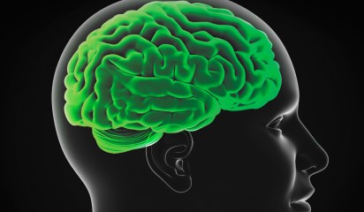 Brain 8 5.jpg thumbnail