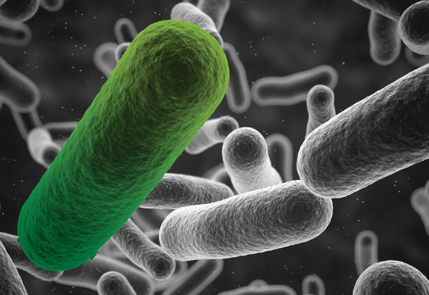 Budapest treaty thumbnail2