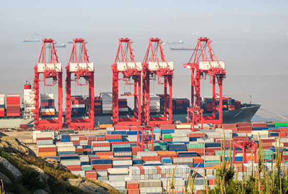 China container export resized thumbnail2