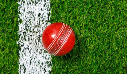 Cricket ball on grass thumbnail