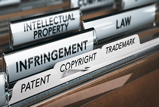 Intellectual property files thumbnail12