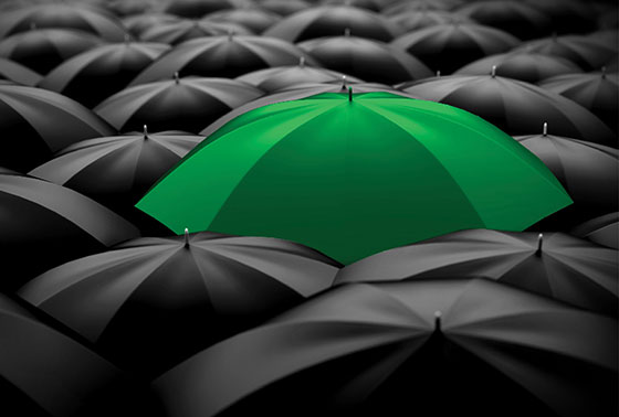 Umbrellas 1600x1003.jpg tumb